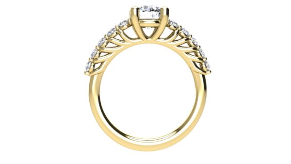 Sania - Image 5